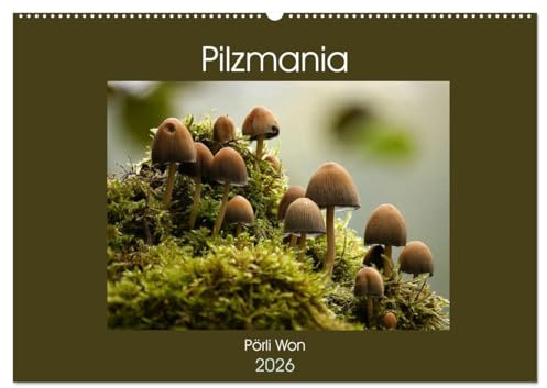 Pilzmania (Wandkalender 2026 DIN A2 quer), CALVENDO Monatskalender: Mit gewöhnlichen und ungewöhnlichen Pilzen durch das Jahr (CALVENDO Natur)