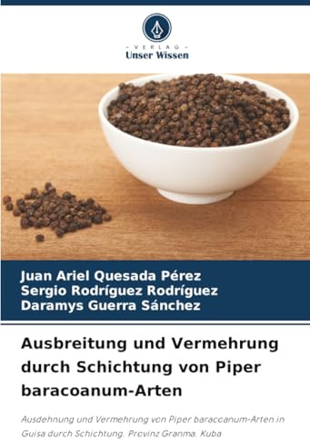 Ausbreitung und Vermehrung durch Schichtung von Piper baracoanum-Arten: Ausdehnung und Vermehrung von Piper baracoanum-Arten in Guisa durch Schichtung. Provinz Granma. Kuba