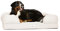 PetFusion Ultimatives massives wasserdichtes Hundebett aus Memory-Schaum für XL-Hunde, 8,89 kg