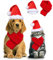 KATELUO 2 STK Haustier Weihnachtskostüme Set, Weihnachtsmütze Hunde Katzen Schal Weihnachten Katzenkostüm Hundekostüm, Plüsch Haustier Weihnachtsmütze Verstellbare für Mittlere und große Haustiere