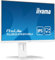 iiyama Prolite XUB2492HSU-W5 60,5cm 23,8 IPS LED-Monitor FullHD VGA HDMI DisplayPort USB2.0 Ultra-Slim-Line Höhenverstellung Pivot weiß