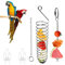 Bird Cage Food Holder, Stainless Steel Parrot Basket Bird Foraging Toy Parrot Skewer Feeder Bird Vegetable Fruit Clips Cage Accessories for Parakeets, Conure, Macaws, Love Birds, Small Animals