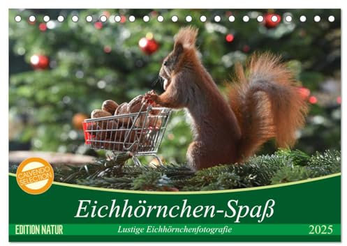 Eichhörnchen-Spaß (Tischkalender 2025 DIN A5 quer), CALVENDO Monatskalender