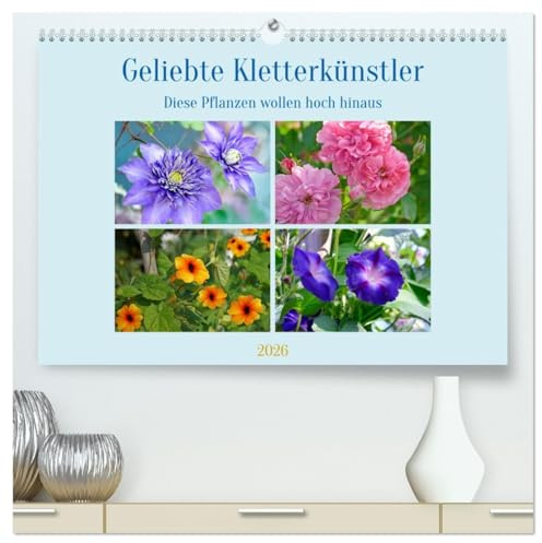 Geliebte Kletterkünstler (hochwertiger Premium Wandkalender 2026 DIN A2 quer), Kunstdruck in Hochglanz: Kletterpflanzen für Haus und Garten. (CALVENDO Natur)