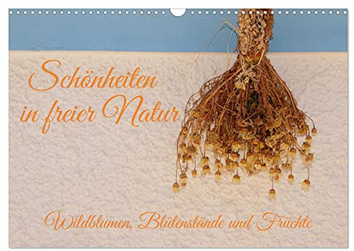 Schönheiten in freier Natur (Wandkalender 2026 DIN A3 quer), CALVENDO Monatskalender: Wildkräuter mit ihren Blüten und Fruchtständen (CALVENDO Natur)