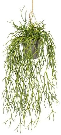 Artificielles.com - Fausse Plante retombante rhipsalis L 60 cm Vert