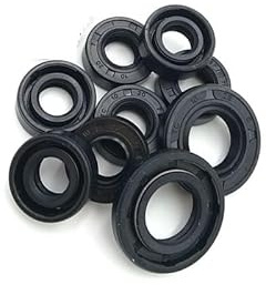 NBR Shaft Oil Seal Nitrile Covered Double Lip With Garter Spring TC-10 * 15 * 16 * 17 * 18 * 19 * 20 * 21 * 22 * 23 * 24 * 25 * 26 * 28 * 30**35 * 4/5/6/7/8/9 (Size : 10x14x3mm 2pcs)