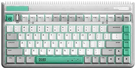 iQunix OG80 Teclado para juegos, teclado mecánico inalámbrico 2.4G con interruptor TTC Speed Silver