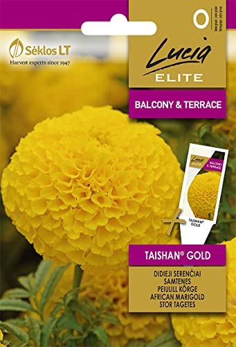 Lucia Elite | TAGETES TAISHAN® GOLD samen | Blumensamen | Pflanze samen | Gardensamen | 1 Pack