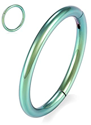 20G Nasenringe 316L Chirurgenstahl Nahtloser Clicker-Ring Hinged Segment Septumringe Conch-Hoop-Ring Daith-Ohrringe Tragus Knorpel Helix-Ohrring Piercing-Schmuck 8mm