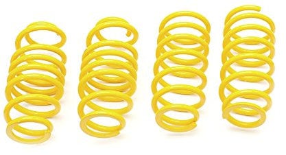 ST 28280094 Lowering Springs