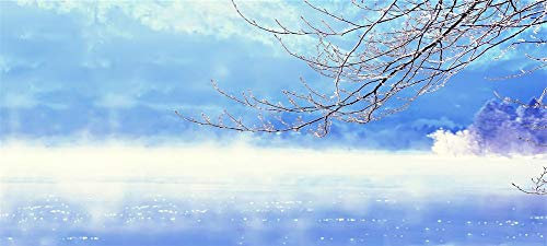 DIY 5D Diamond Painting kits Neige d'arbre brumeux Foret Complet Diamant Peinture Cristal Strass Broderie Point Croix Peinture par numéro Art Craft Décoration Murale Square Drill 40x120cm H4590