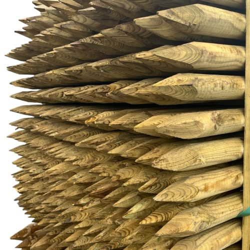 BaustoffhandelShop KDI Zaunpfähle Zaunpfosten Vierkantpfosten Kantholz Holzpfosten Palisade Pfosten in verschiedenen Dimensionen und Längen (PFAHL 6x200cm KDI/GESPITZT), 60 x 500mm