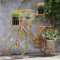 Yesbon Pflanzenregal Metall Blumenständer, Blumentreppe Fahrrad Form Blumentopf Ständer Blumentreppe Dekorativer Blumentopfständer für Zuhause, Garten, Balkon,Gold
