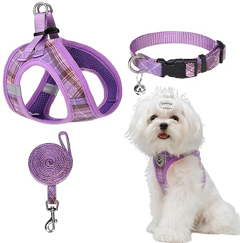 EXPAWLORER Klassisches kariertes Hundegeschirr mit verstellbarem Halsband, weiches Hundegeschirr, kein Ziehen, reflektierend, ausbruchsicher, für Training, Spaziergänge im Freien, Violett