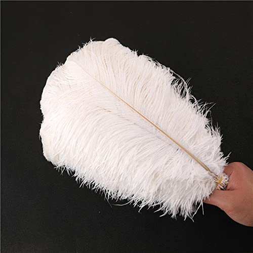 10 Stück 35-40cm Natürliche Straußenfedern,Strauß Feder zum Basteln,Bastel Federn für DIY Traumfänger Zubehör,Heimdekoration,KostüMe,Tischdeko Hochzeit Party Fest Hüte Kleidung Dekoration,Weiß