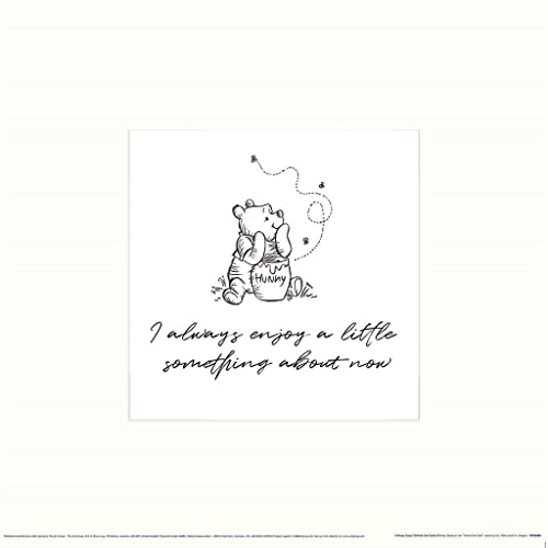 Winnie the Pooh - bedruckt I Always Enjoy (30 cm x 30 cm) (Weiß/Schwarz)