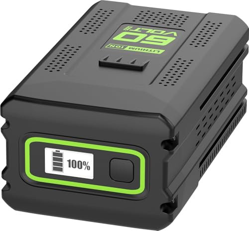BULL-TECH Batterie lithium-ion rechargeable 60 V 5 Ah pour Greenworks Pro 60 V 5 Ah - Compatible avec tous les outils électriques sans fil Greenworks 60 V