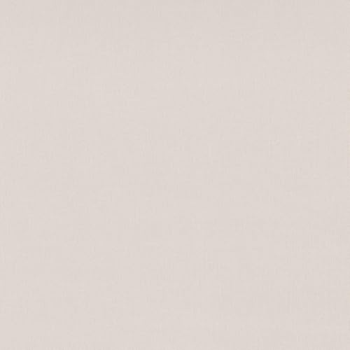 Vliestapete 10437-02 Tapete Uni Einfarbig 0.53 x 10.05 m Erismann Spotlight Beige