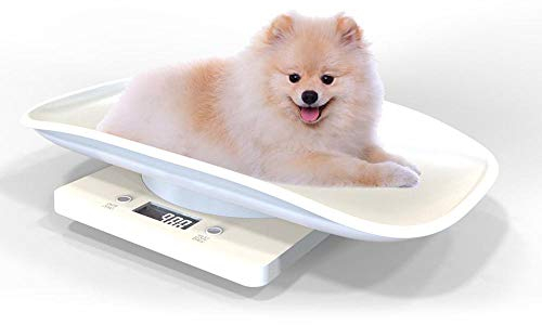 Hankaw Balance Numérique Pèse-Animaux Pèse-bébé Mesurer Les Nourrissons, Les Petits Chiens, Les Chats, Les Aliments pour Chiens - Affichage à LED, Fonction de Tare, Portée Jusqu’à 10kg