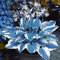 Hosta pianta Piante bulbi Piante erbacee perenni Pianta da esterno Rizoma Hosta Funkia-Rizoma Hosta Funkia-Hosta pianta Piante bulbi