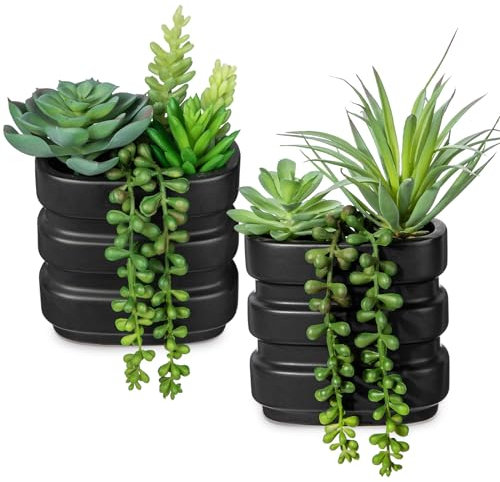 Hollyone Lot de 2 plantes succulentes artificielles dans des pots en céramique, arrangement de plantes grasses artificielles à double usage dans des pots noirs, plantes artificielles à suspendre pour