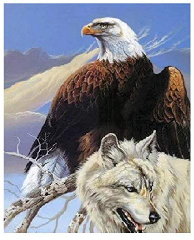 MOY78NWZH Puzzle 1000 Teile Puzzel Für Erwachsene DIY Festival Geschenk Adler Und WOL F Urlaub Geschenk Wohnkultur Kreativ Kunst 75x50cm