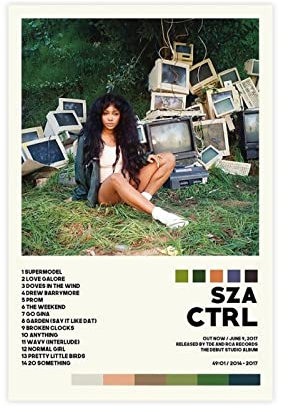 RIPEX Sza Poster Sza CTRL Album Cover Poster Leinwand Poster Wandkunst Dekor Druck Bild Gemälde für Wohnzimmer Schlafzimmer Dekoration Rahmen Stil 08x12inch (20x30cm)