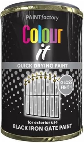 MIXEL Black Iron Gate Tin Paint, Quick-Drying Formula, DIY Enthusiasts, Long-Lasting, Easy-To-Apply, Ideal for Gates, Fences, Railings, Interior And Exterior Use, 300ml, (1 Pcs)