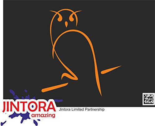 JINTORA - Autoaufkleber Tuning - Auto Aufkleber - Eule - 107x99 mm - Auto Aufkleber - Bus - Fenster - Heckscheibe - Camper - wetterfest - Outdoor Sticker Auto Deko LKW - Tuning Selbstklebend - orange
