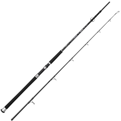 Spro Rute Salty Beast Jig Fast 240cm 400g - Meeresrute, Angelrute zum Meeresangeln, Salzwasserrute