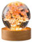 luolety Kristallkugel Nachtlicht, 6 cm Glaskugel Lampe mit Holz mit LED-Lichtbasis, USB Aufladung Blume Nachtlampe mit Ständer (Rote Gänseblümchen)