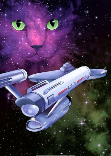 Displate Offiziell Star Trek MetallPoster Magnetische Befestigung Inklusive Lizenziert Bilder Hochwertiges Poster Star Trek Cats Star Trek Cats 2 Poster 45 cm x 32 cm