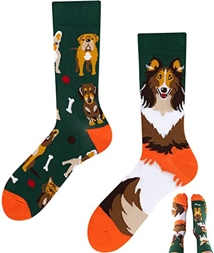 TODO Colours Lustige Socken mit Motiv - mehrfarbige, bunte, Verrückte für Herren und Damen (35-38, Dogs Life)