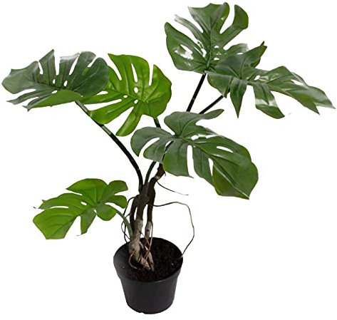 Leaf realistic Artificial Monstera Cheese Plant, 60cm