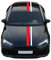 Kiwistar Viperstreifen Rennstreifen Zierstreifen – personalisierbare Streifen Sets - Auto Aufkleber Rally Tuning Dekor Autoaufkleber Sticker - Streifen-Kit Fahrzeugfolierung Decal - 2 Streifen