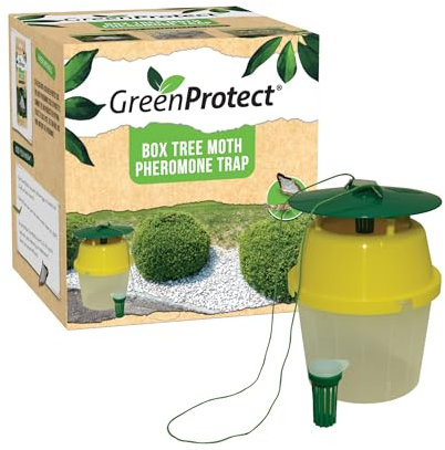 Green Protect Box Tree Moth Trap- Moth Infestation Prevention -Reusable Trap -Protects Gardens and Box Hedges, 1 Trap