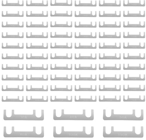 60 unidades de fusibles de hoja de fusibles, tiras de fusibles planas, surtido de fusibles para coches, caravanas, 30 A, 40 A, 50 A, 80 A, 100 A, 150 A, color plateado