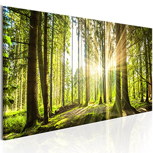 B&D XXL - Wandbilder XXL Wald 135x45 cm 1 tlg Wand Deko Leinwand Bilder Groß Wandbild Wohnzimmer Bild Schlafzimmer Kunstdruck Panoramabild - Waldlandschaft Natur Bäume Sonnenaufgang c-B-0077-b-b