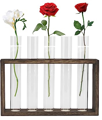 Plant Propagation Stations mit hölzernen Stand, Reagenzglas Pflanze Terrarium Hydroponische Vase Glas Pflanzer Halter für Home Office Dekoration Live Office Plants Décor (Dunkelheit)