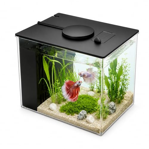 3,7L Kleines Betta Aquarium Komplettset, Mini Aquarium aus Acryl | mit Filterpumpe LED-Beleuchtung, ideal für kleine Fische, Garnelen und Pflanzen (Schwarz)