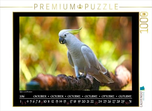 CALVENDO Puzzle EIN Motiv aus dem Kalender Aves Australis - Vögel Australiens | 1000 Teile Lege-Größe 64 x 48 cm Foto-Puzzle für glückliche Stunden