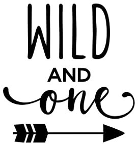 Bügelbild Aufbügler Geburtstag Wild and One