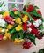 PLAT Firma: 15 Semi Begonia Trailing Cascade Mix Il Pellet Semi