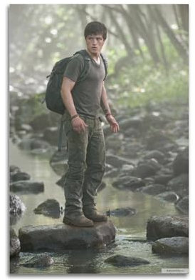 Josh HutchersonBerühmte Film- und Fernsehfiguren, Popmusikfiguren, Poster, Dekoration, Leinwand, Kunstdekoration, Druck, Unterschrift, Foto, Wohnzimmer, Heimdekoration, 40 x 60 cm, ungerahmter Stil,