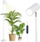 Rayofly Grow Lights for Indoor Plants, LED Grow Lights Full Spectrum, Tall Plant Light for Indoor Growing with 20W COB Plant Light Bulb & 4/8/12H Timer, White Growth Stand Lamp for Plant Seedling
