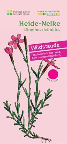 Heide-Nelke | Dianthus deltoides in BIO-Qualität (torffrei), ideal für trockene & sonnige Standorte, Balkon/Kübel geeignet, im 0,69L Topf, heimische Wildpflanze, liebevolle Handarbeit (3er Set)