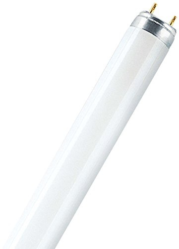 Osram Leuchtstoffröhren 36 Watt, 865 lichtfarbe, L 36 W/865 XXT
