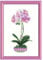 Riolis Stickpackung - Orchidee, Zählmuster