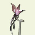 Lauschaer Glaskunst Blumenstab Paradiesvogel violett